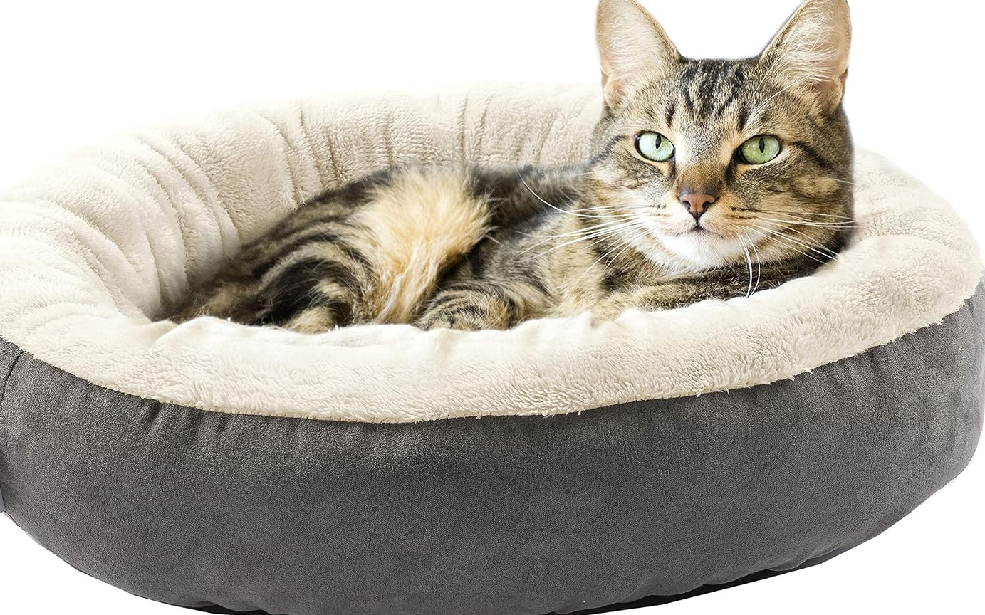 Round Donut Cat and Dog Cushion Bed, 20in Bed for Cats or Small Dogs, Anti-Slip & Water-Resistant Bottom, Super Soft Durable Fabric Pet Beds, Washable Luxury Cat & Dog Bed Gray
