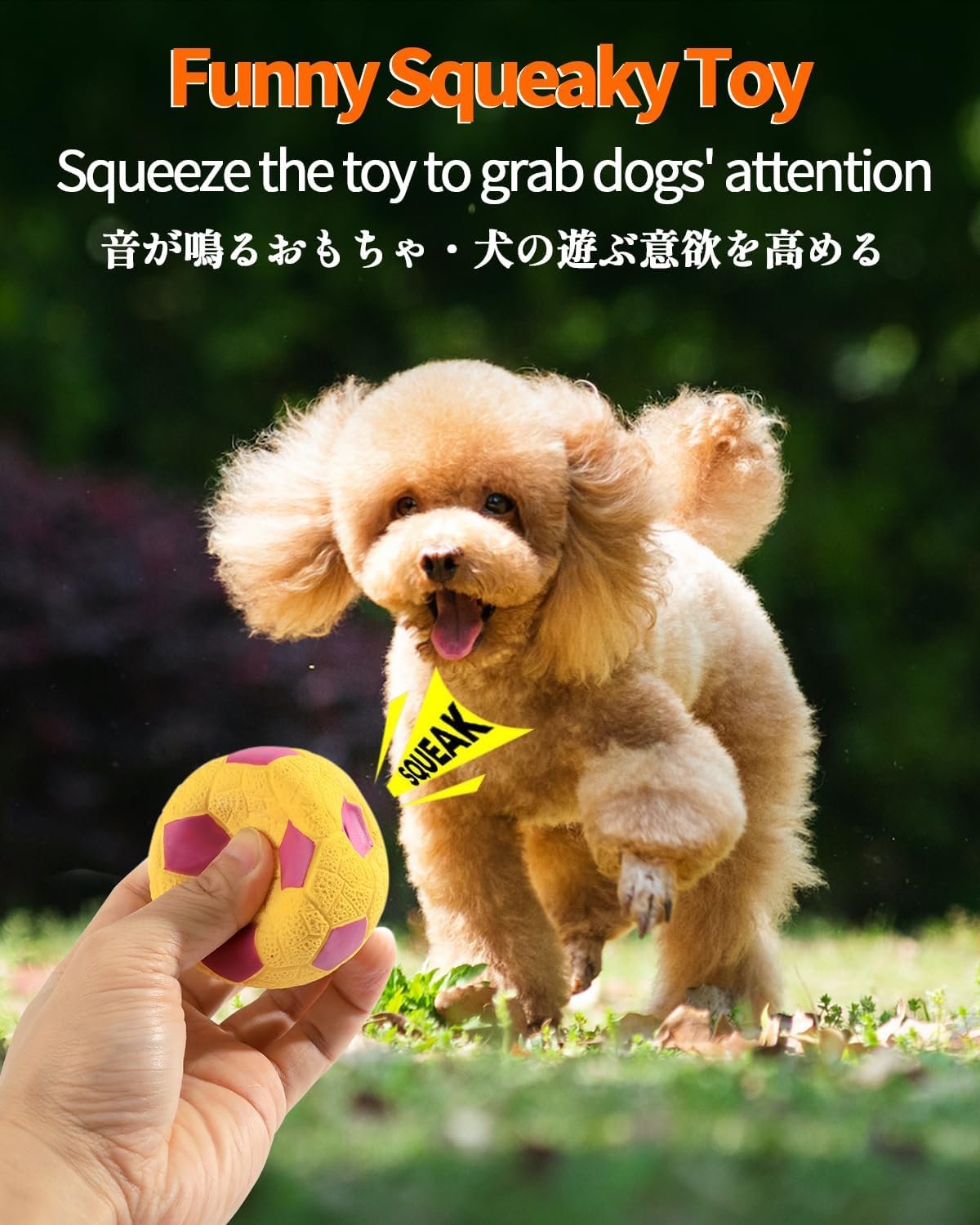 Soft High-Bounce Squeaky Fetch Ball (Small Dogs/Puppies) - Image 2