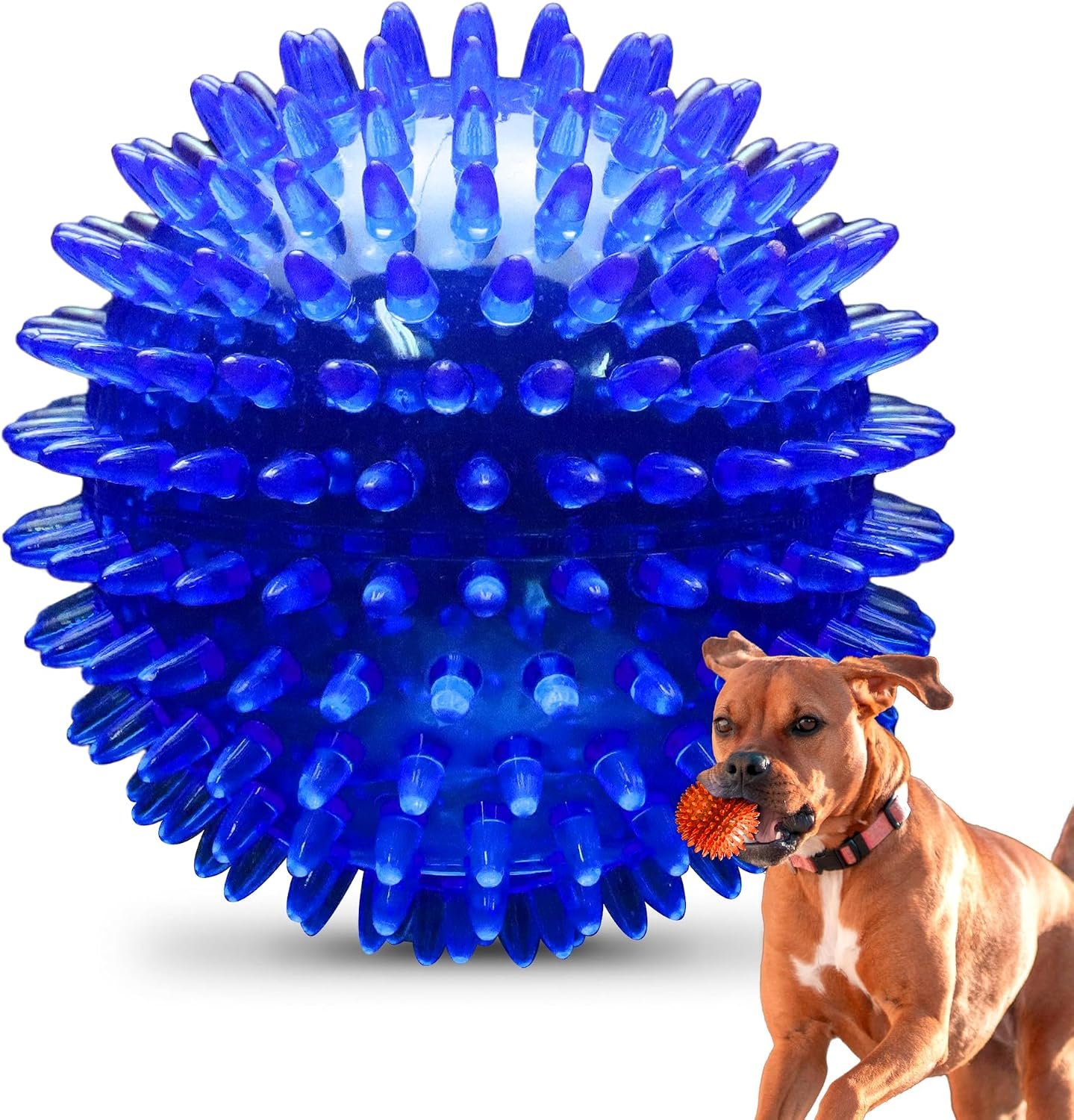 Spiky Squeaky Interactive Chew Ball (Small/Medium Dogs)